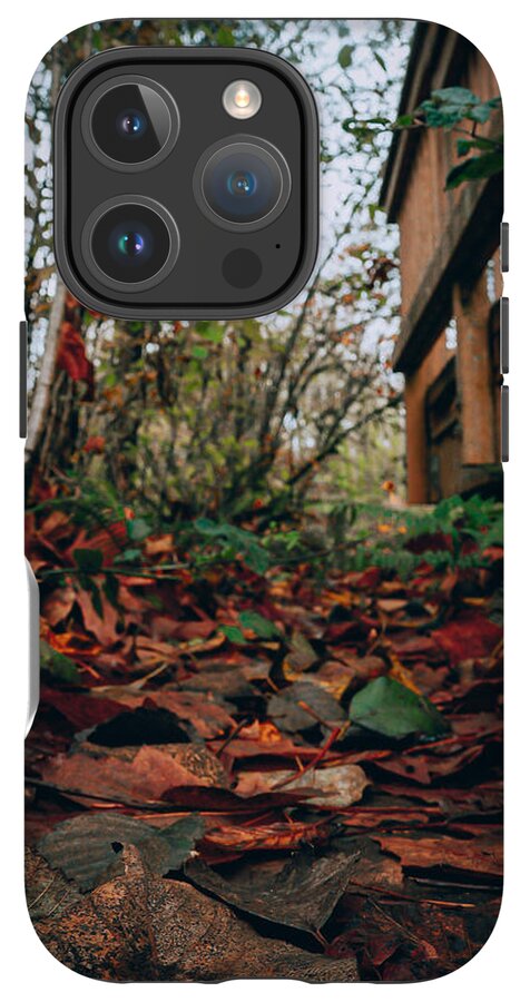Autum leaves - Phone Case