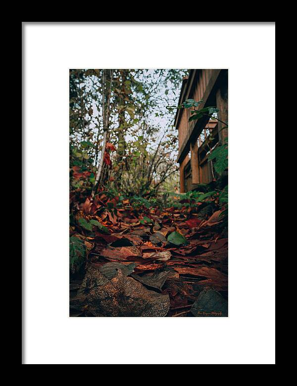 Autum leaves - Framed Print