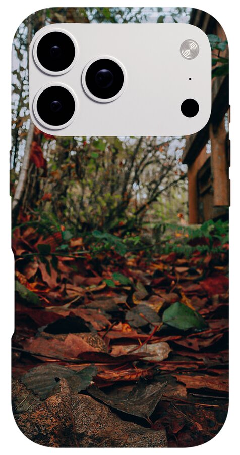 Autum leaves - Phone Case