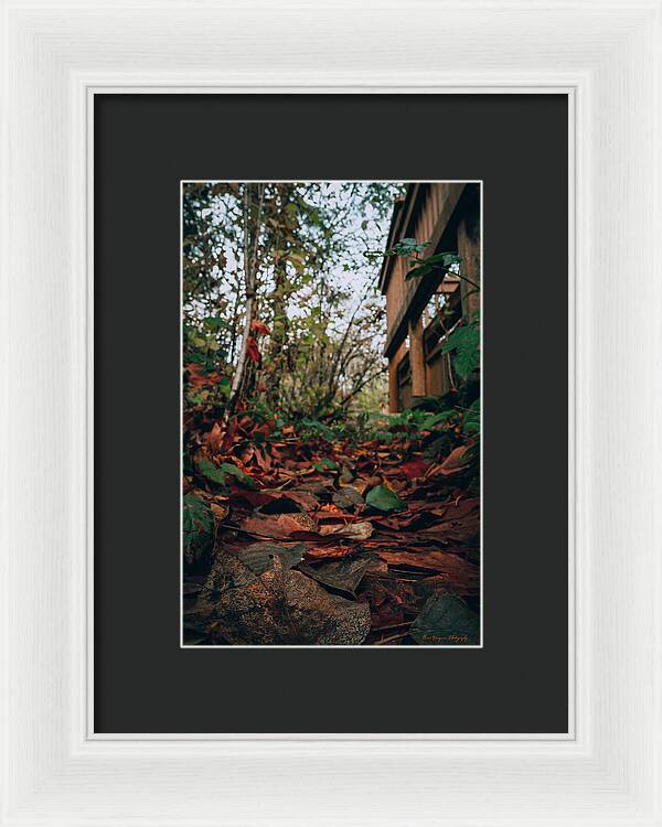 Autum leaves - Framed Print