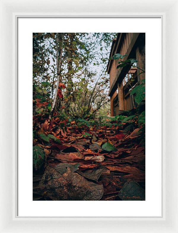 Autum leaves - Framed Print