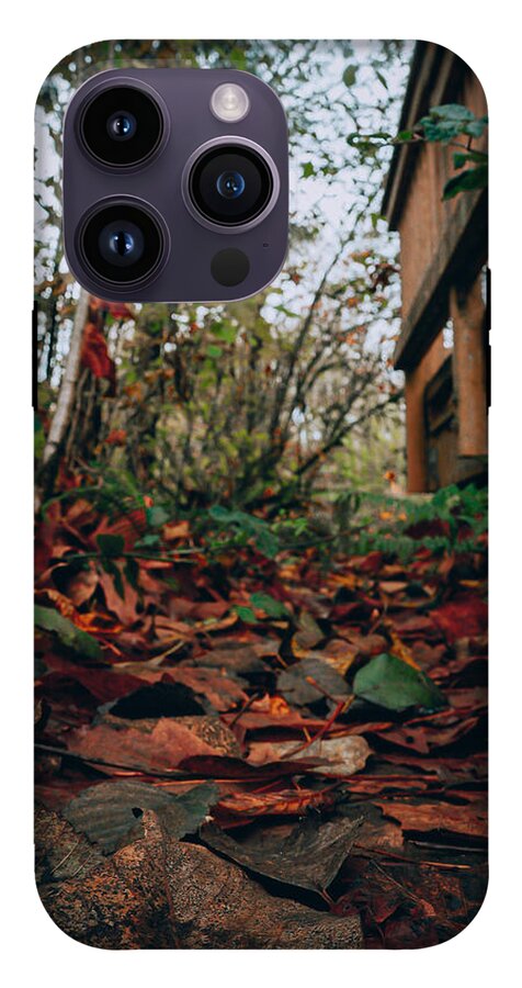Autum leaves - Phone Case