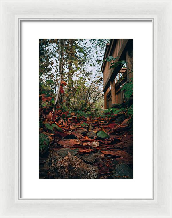 Autum leaves - Framed Print