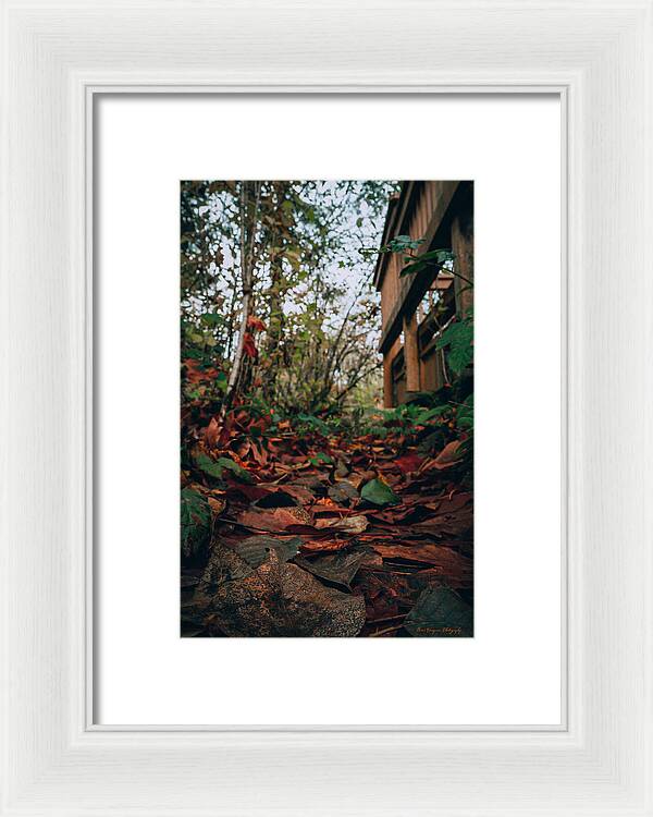 Autum leaves - Framed Print
