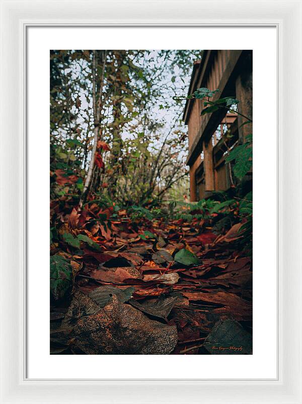Autum leaves - Framed Print