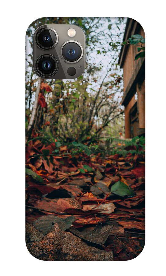 Autum leaves - Phone Case