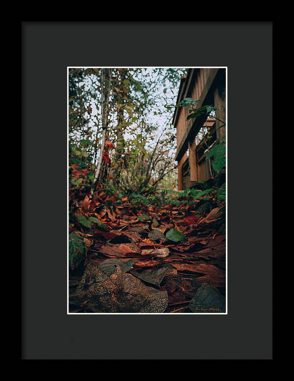 Autum leaves - Framed Print