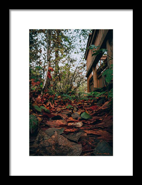 Autum leaves - Framed Print