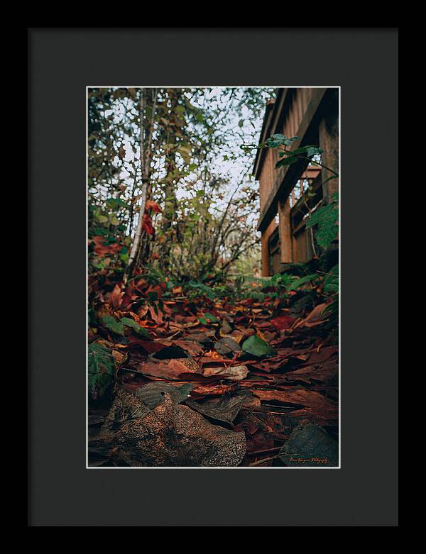 Autum leaves - Framed Print