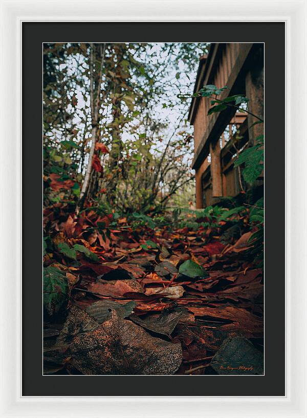 Autum leaves - Framed Print