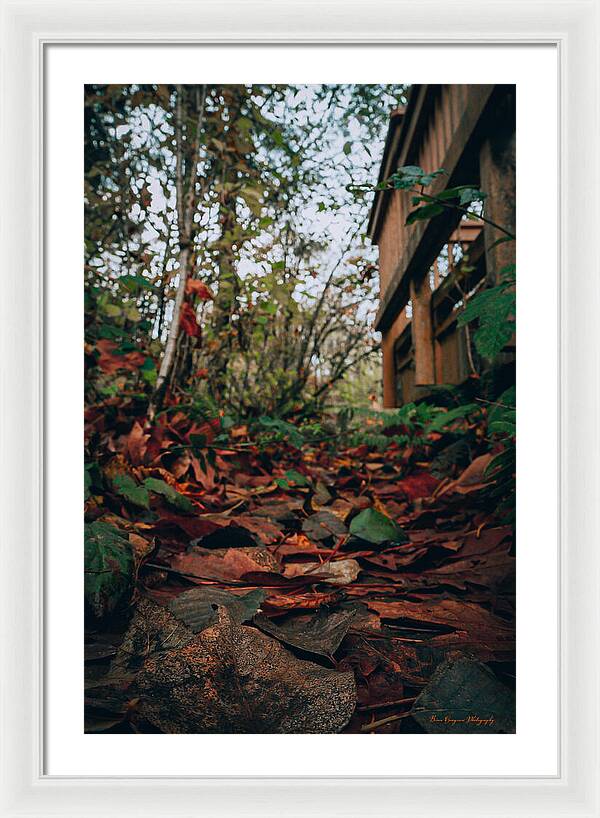 Autum leaves - Framed Print