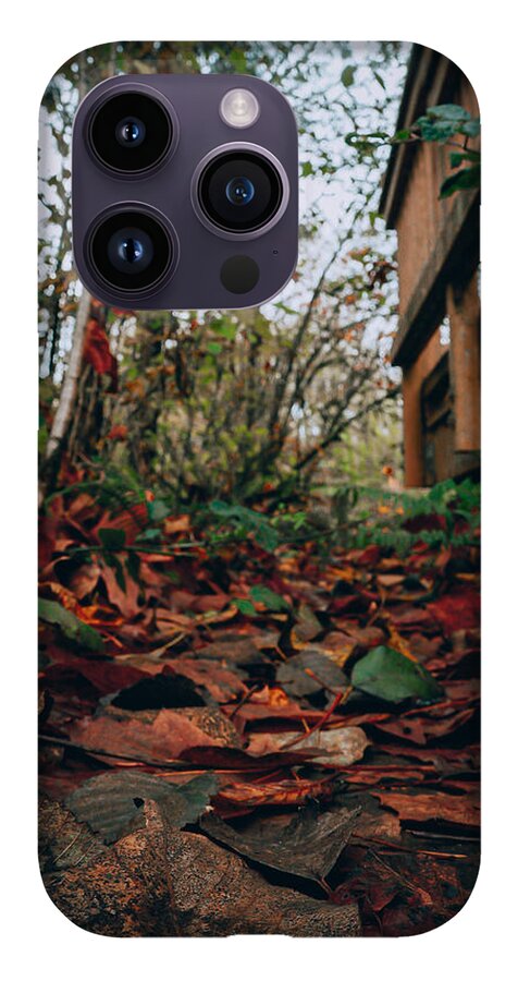 Autum leaves - Phone Case