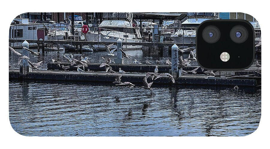 Birds at the Dock - Phone Case
