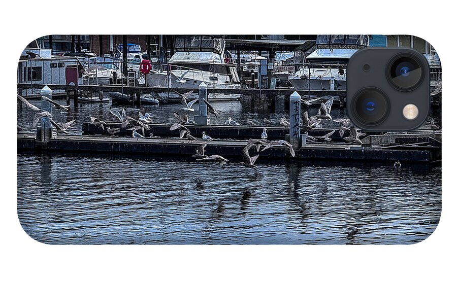 Birds at the Dock - Phone Case