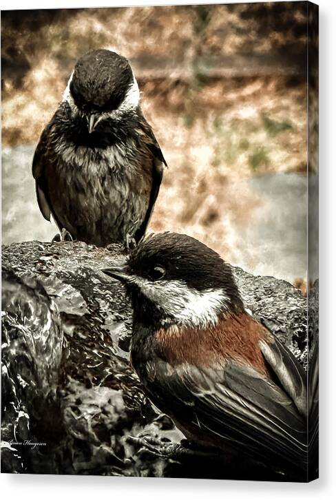 Birds - Canvas Print