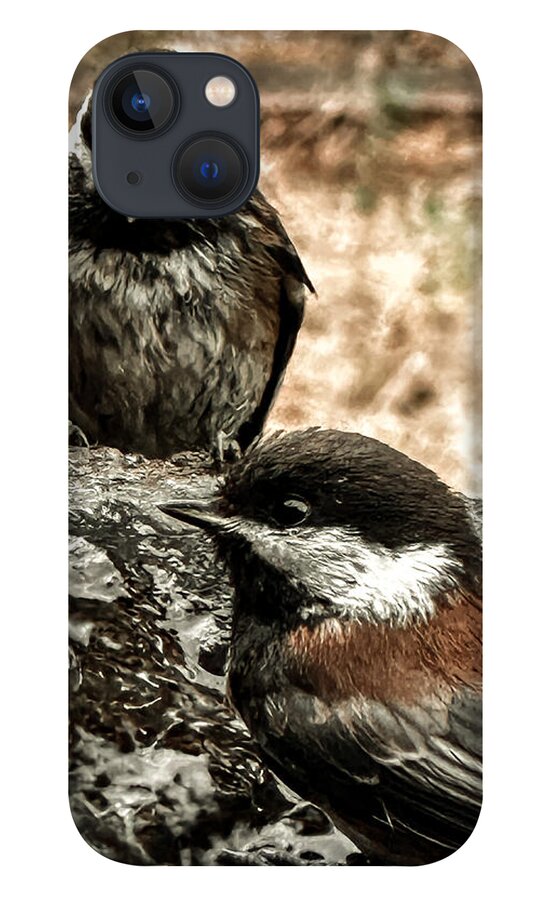 Birds - Phone Case