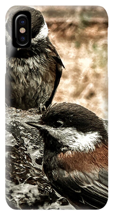 Birds - Phone Case