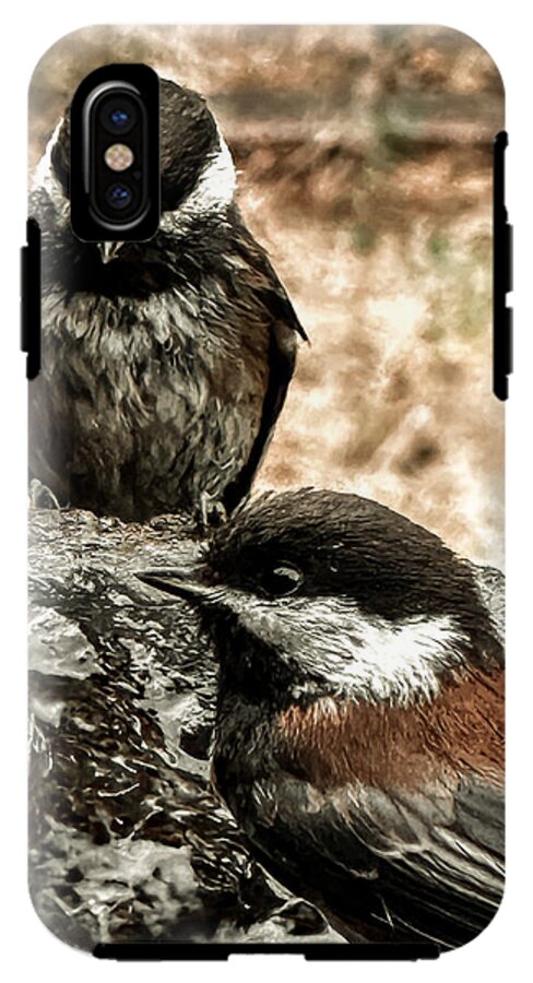Birds - Phone Case