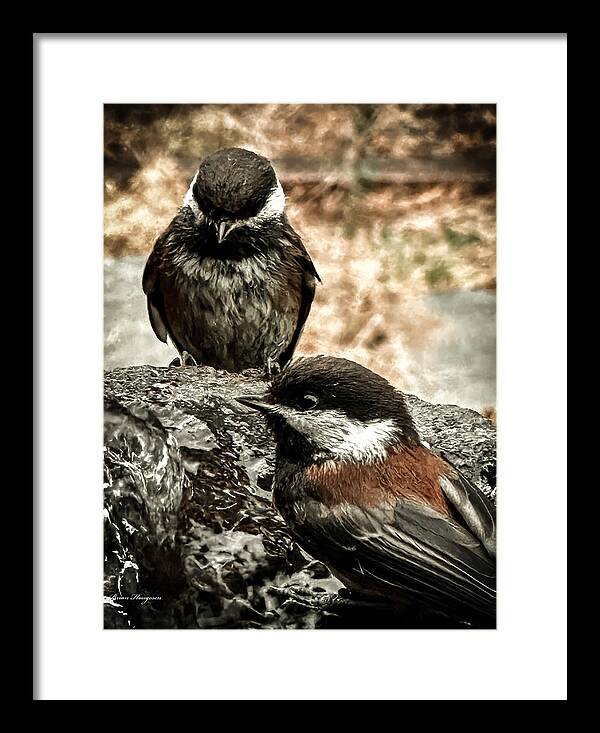 Birds - Framed Print