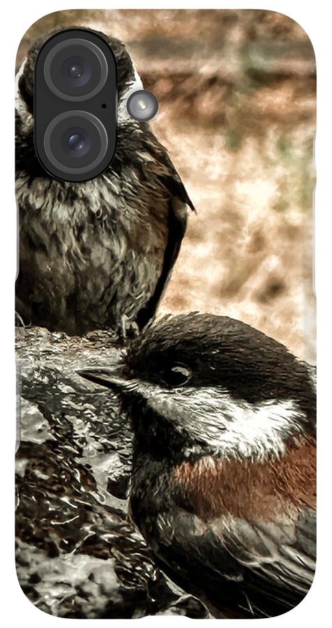 Birds - Phone Case