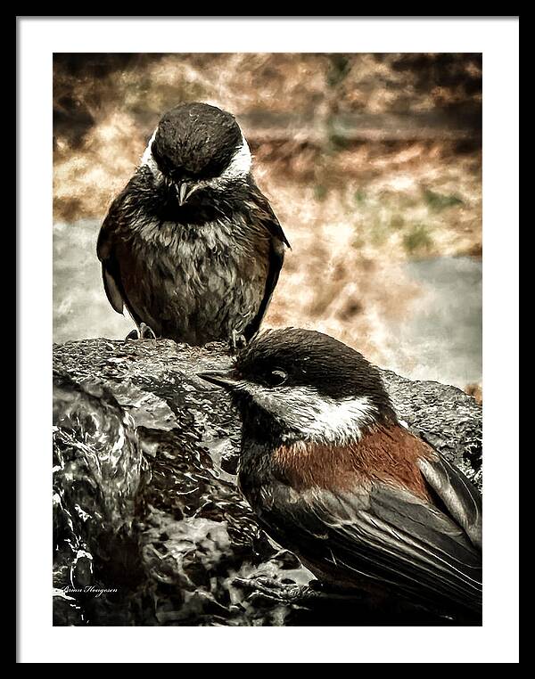 Birds - Framed Print
