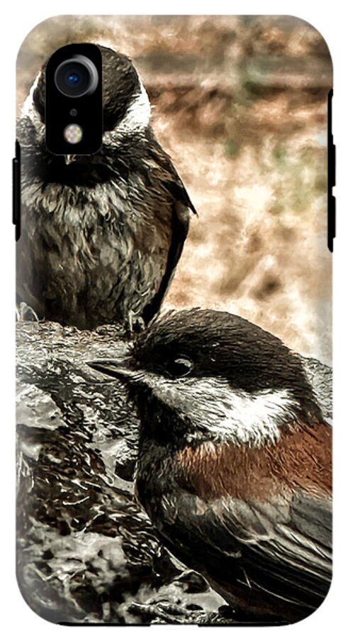 Birds - Phone Case