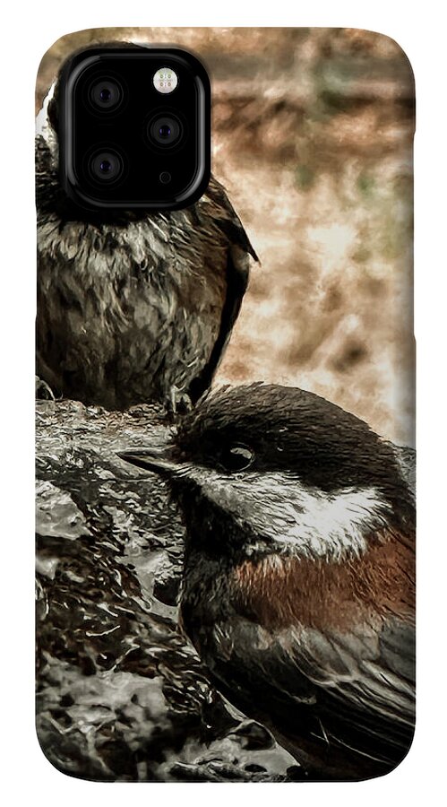 Birds - Phone Case