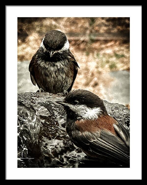 Birds - Framed Print