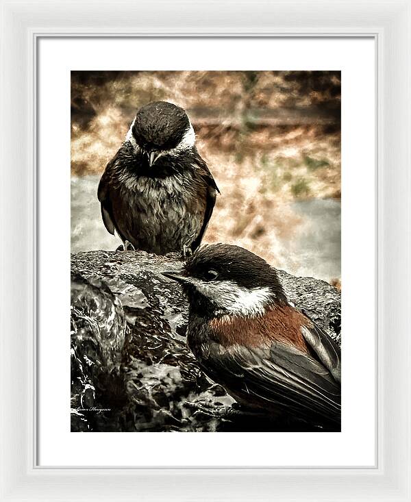 Birds - Framed Print