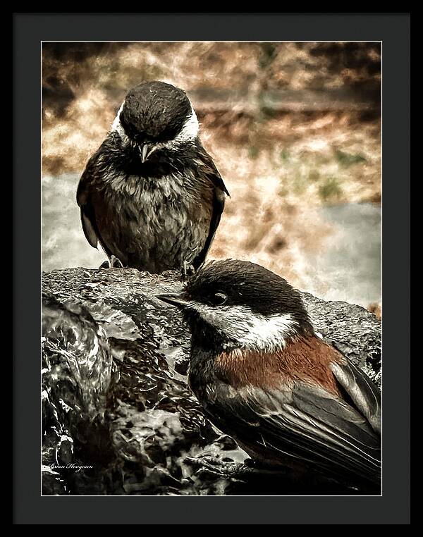 Birds - Framed Print