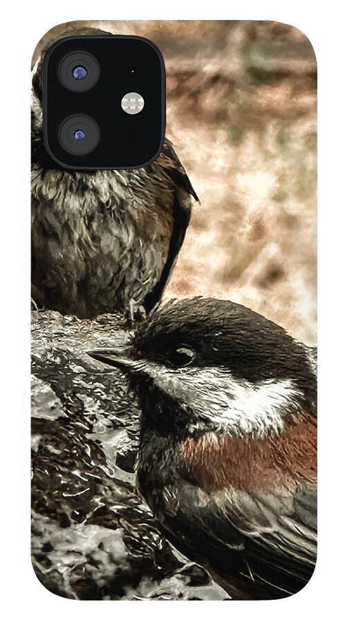 Birds - Phone Case