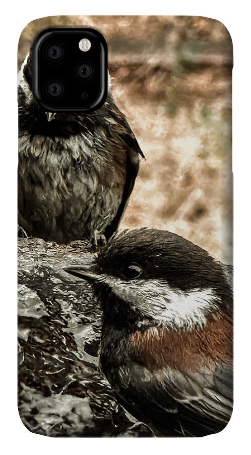 Birds - Phone Case