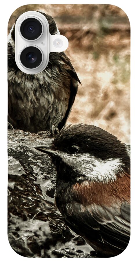 Birds - Phone Case