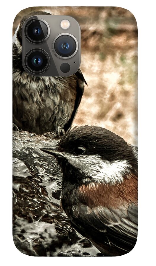 Birds - Phone Case