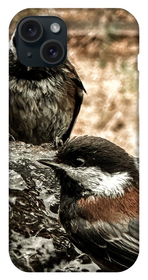 Birds - Phone Case