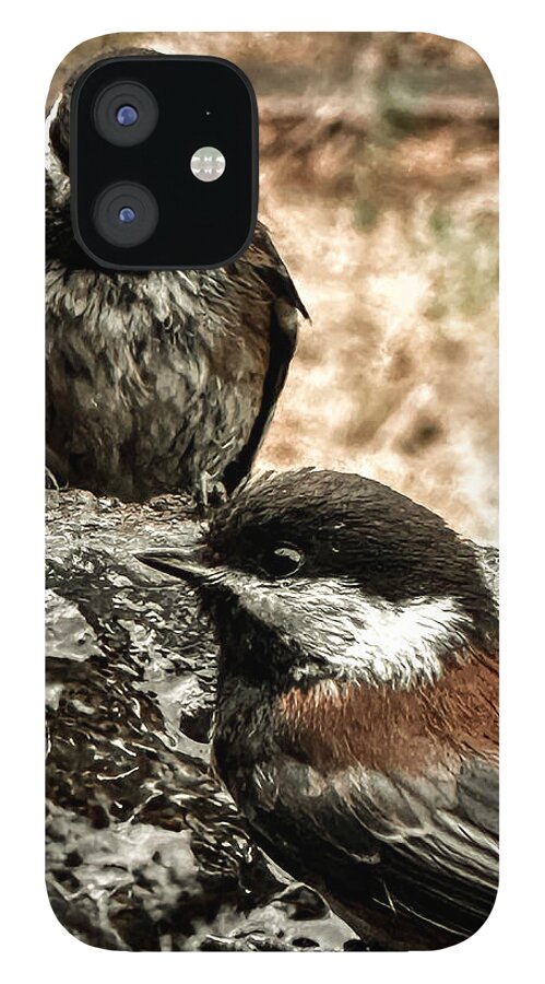 Birds - Phone Case