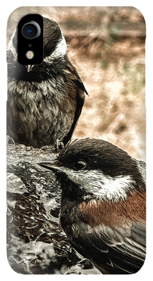 Birds - Phone Case