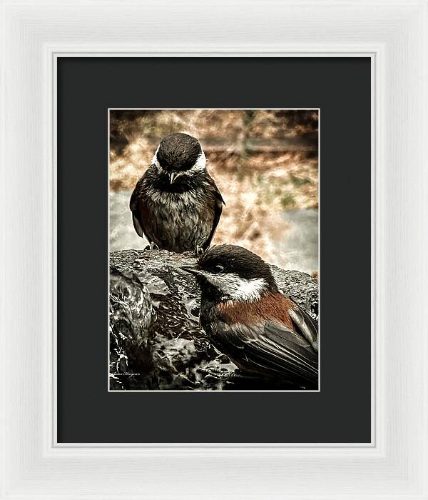 Birds - Framed Print