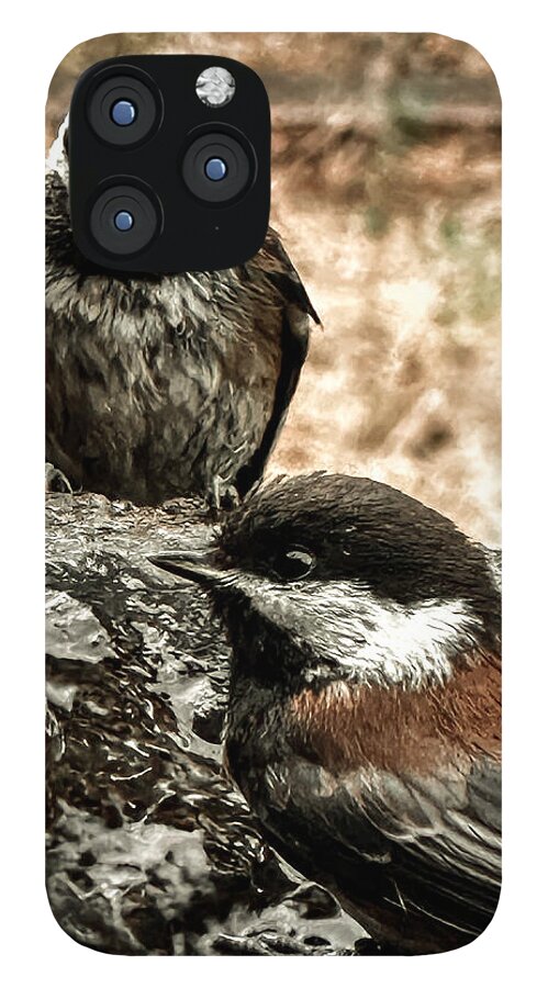 Birds - Phone Case