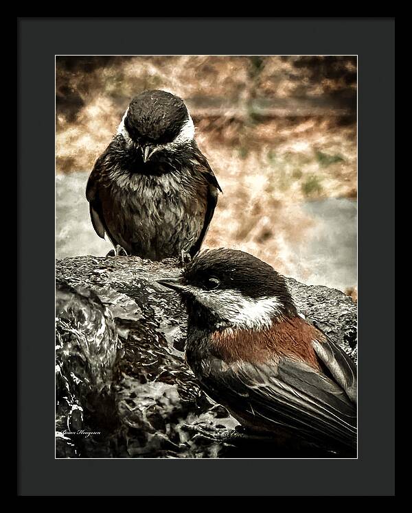 Birds - Framed Print