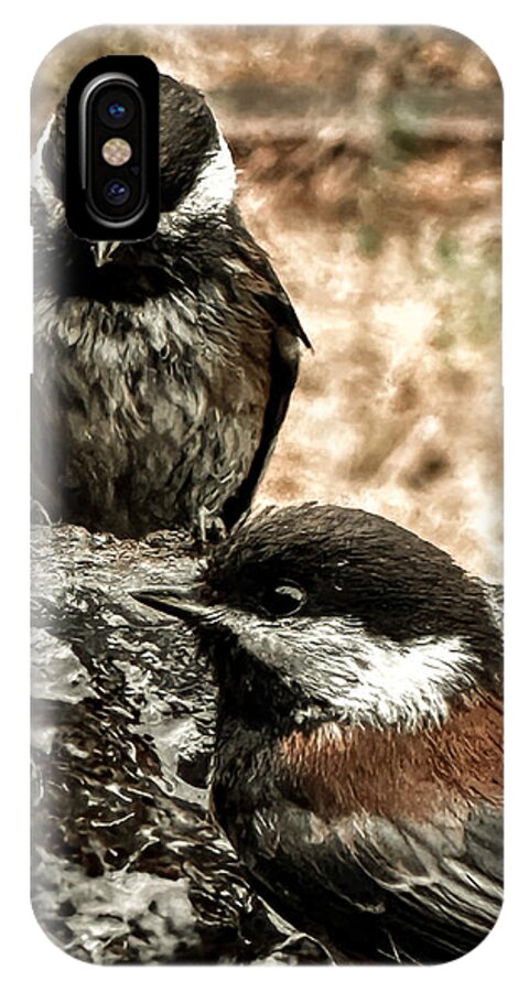 Birds - Phone Case