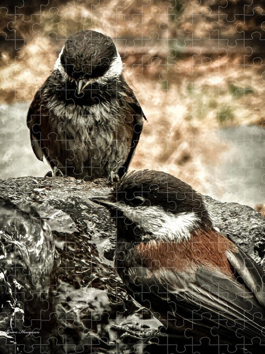 Birds - Puzzle