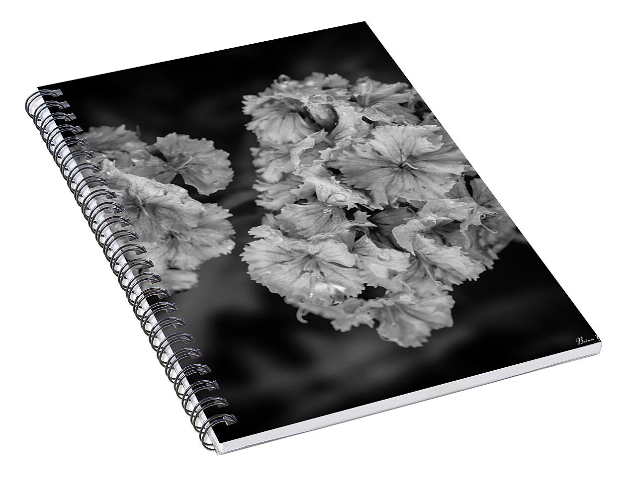 Black and White Floral Study - Spiral Notebook