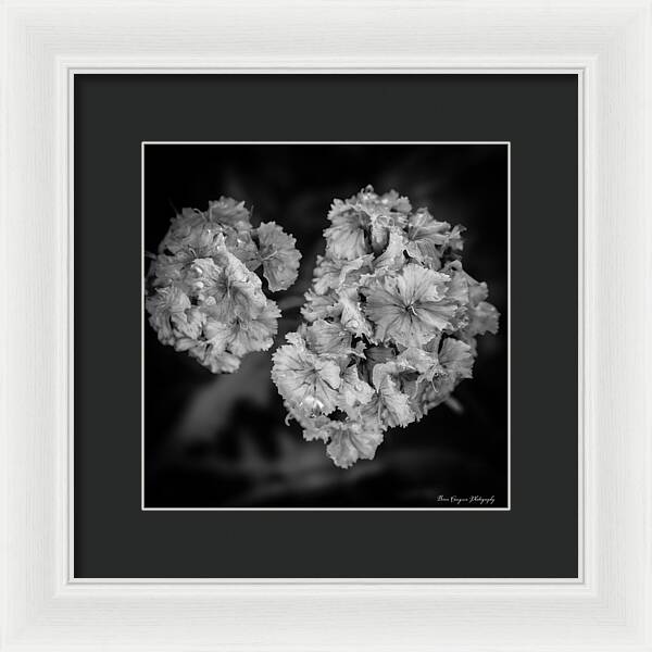 Black and White Floral Study - Framed Print