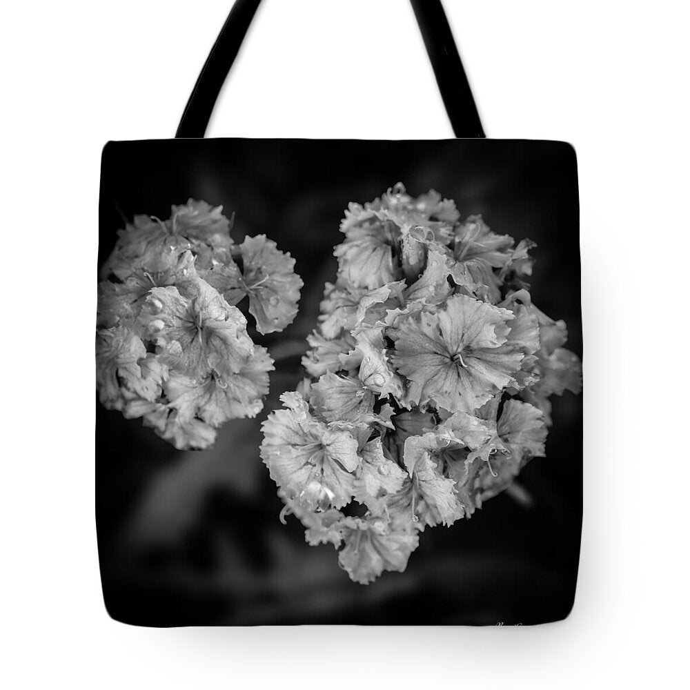Black and White Floral Study - Tote Bag