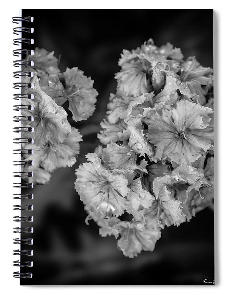 Black and White Floral Study - Spiral Notebook