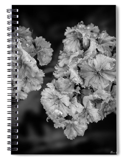 Black and White Floral Study - Spiral Notebook