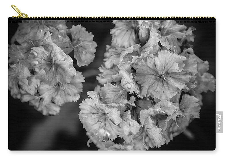 Black and White Floral Study - Zip Pouch