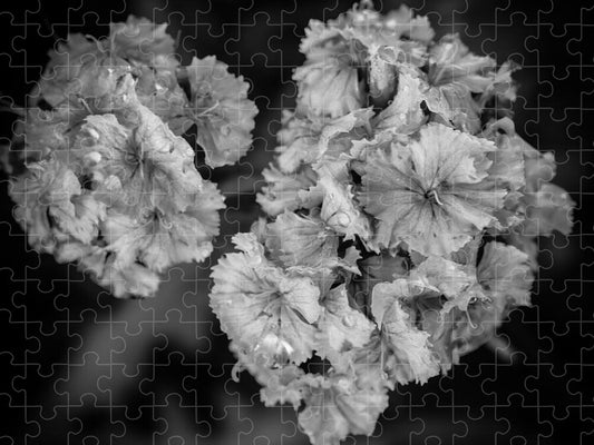 Black and White Floral Study - Puzzle