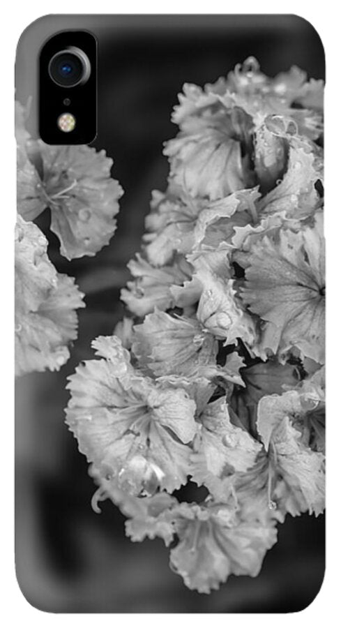 Black and White Floral Study - Phone Case